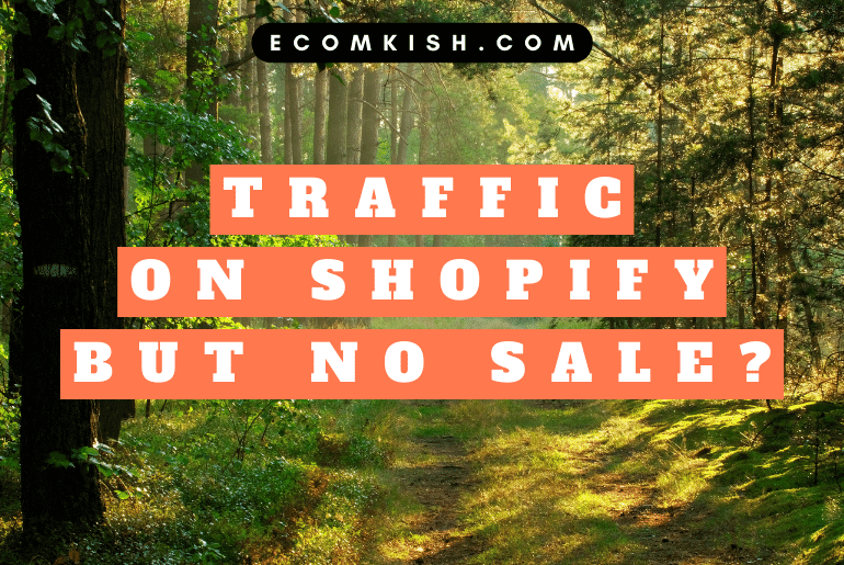 Why you're getting traffic but no sales on Shopify.